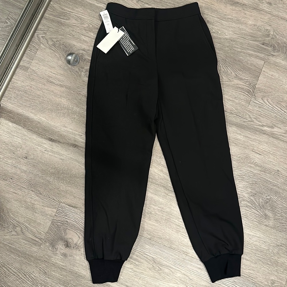 Aritzia Babaton Allegory Pant